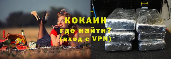 гашик Алексеевка