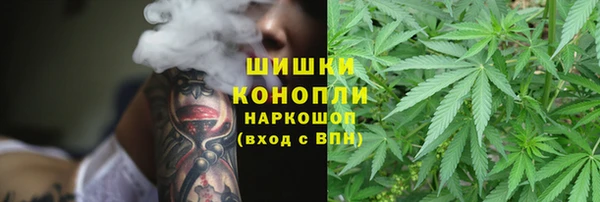 spice Алзамай