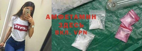гашик Алексеевка