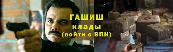 гашик Алексеевка