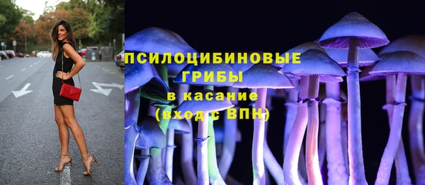 гашик Алексеевка