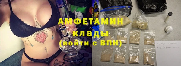 гашик Алексеевка
