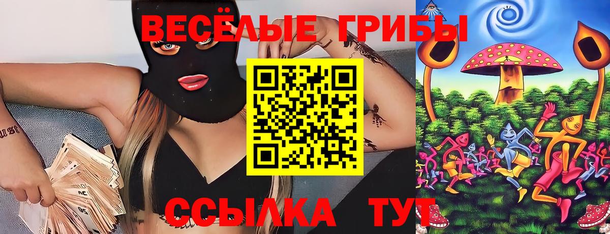 Киржач  Псилоцибиновые грибы Psilocybe  Вход с VPN  Псилоцибиновые грибы Cubensis 